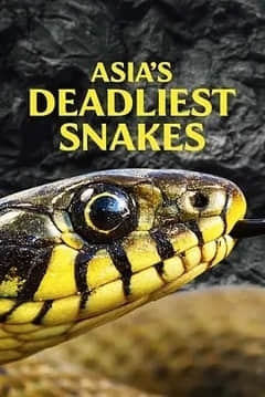 Asias Deadliest Snakes 2011