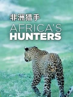 非洲猎手们第一季